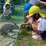 少し時間があったので動物とふれあいました。さつまいもを使った給食やおやつを楽しみにしている子ども達でした。