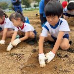 ２日連続ということもあり、慣れた手つきで掘り進めていきます。