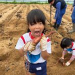 秋らしさを満喫することができました。食べることを心待ちにしている子ども達でした。