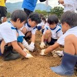 みんなで力を合わせて掘っていました。