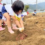 一生懸命引っ張っています。