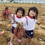 大きなさつまいもがたくさん収穫できました。子ども達は大喜びでした。