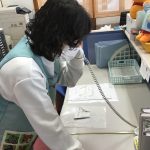 近くにいた職員が１１９番通報をしました。