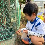 「うぎぎさんおいで」と大きな声で呼んでいました。